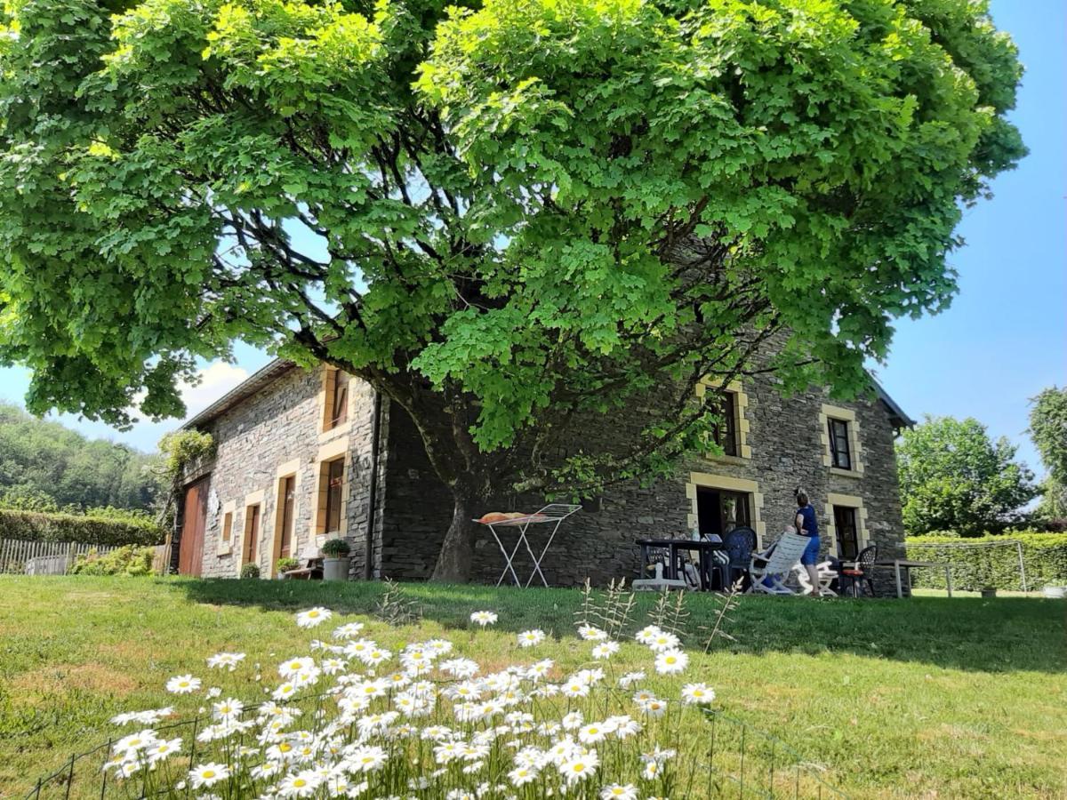 La Maison Des Marguerites Vresse-sur-Semois Exterior foto