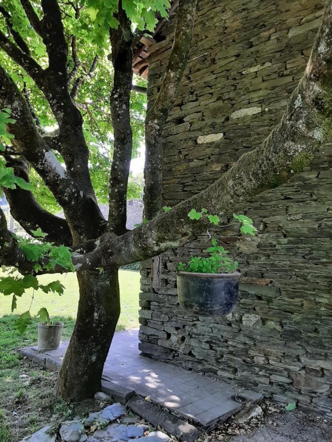 La Maison Des Marguerites Vresse-sur-Semois Exterior foto