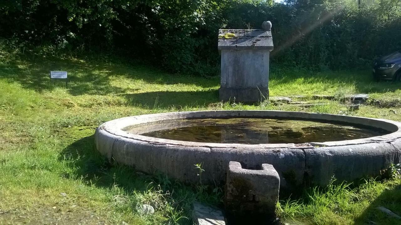 La Maison Des Marguerites Vresse-sur-Semois Exterior foto